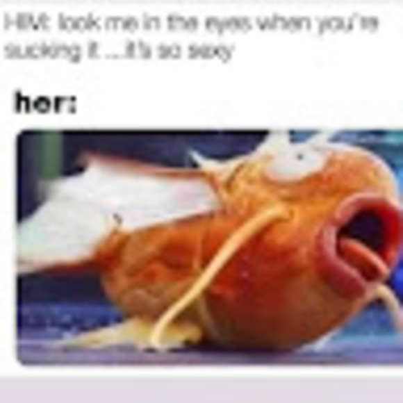 Meet your Posher, Animal - Picture 1 of 1